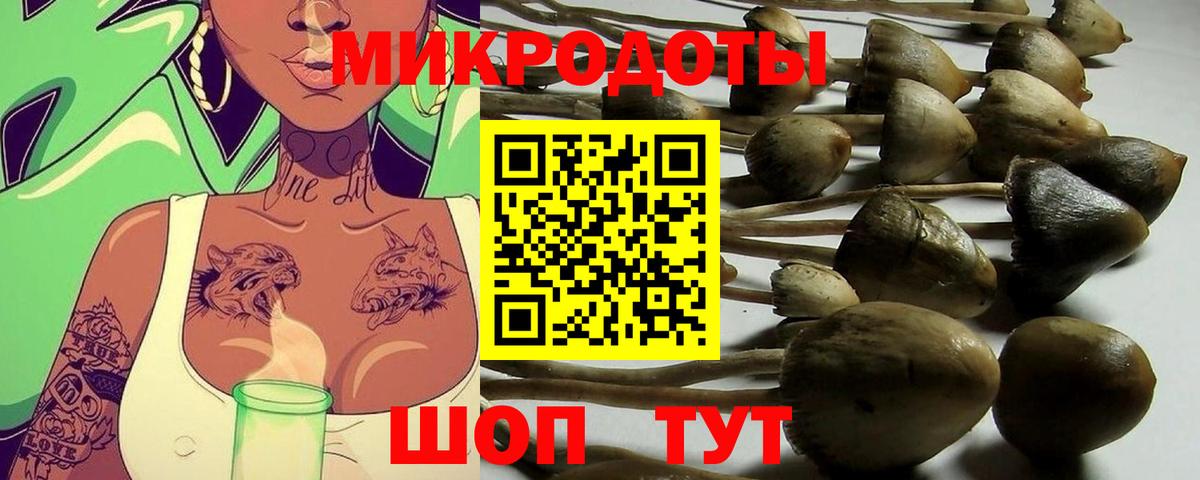 купить закладку  Галлюциногенные грибы ЛСД  Гулькевичи  Вход с VPN  Галлюциногенные грибы прущие грибы 