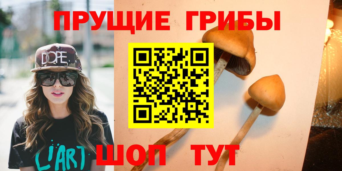 Галлюциногенные грибы Cubensis Гулькевичи